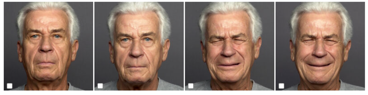Exemplar from the FACES Database