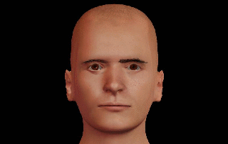 Exemplar from the FaReT Database
